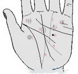 （一） 掌纹丘形与财富机遇