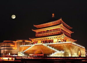 三、 事故原因的更多元阐述与舆论分歧