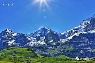 钱包直接大出血