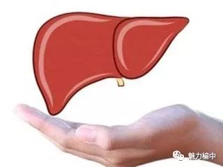 二、 生活方式因素对肝脏代谢负荷的作用于