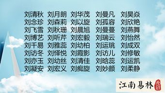 如何根据2026年生肖和八字为姓袁的男宝宝取一个既吉祥又响亮的名字？