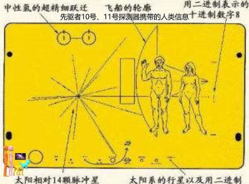 8．家族关系中的内耗以及对过去记忆不容简单以割舍现象解析