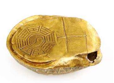 一、 龟背占卜的历史渊源与文化意蕴