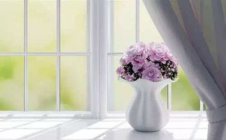 （二）花瓶及其他装饰品的布局原则