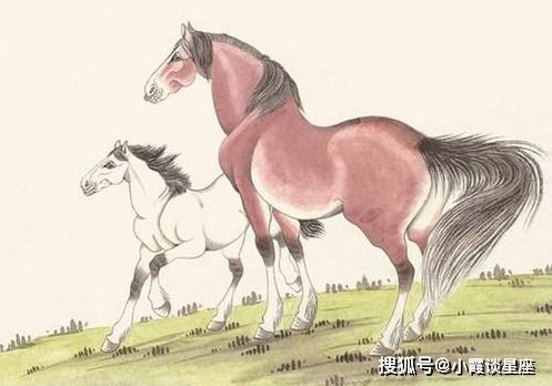 赠君七匹马，生肖寓意何在？