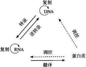 一、 核心概念的系统阐释