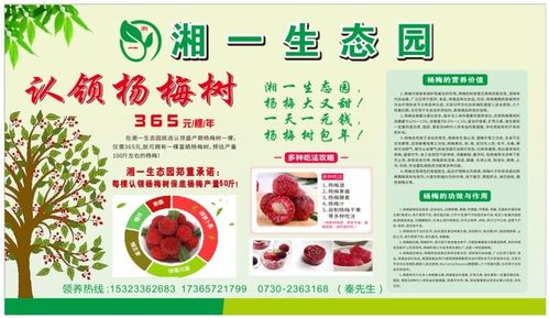 ：蔬果梦境的文化根源与认知基础