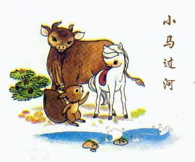 三、 关联词与插入语的运用：提升论述层次