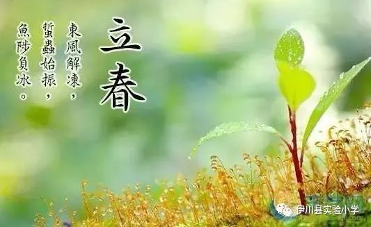 ：立春作为二十四节气之首的多维意蕴