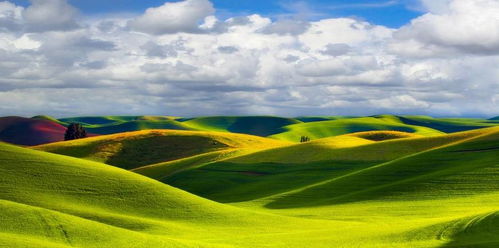 女命八字食伤旺无财星，财星弱，这样的女人命运如何？