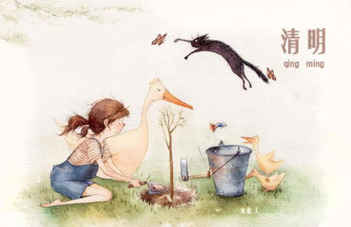 清明节后出生的女孩命运如何，这样的出生是否不吉利？