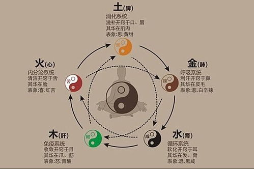 五、 “屹澤”的名字在不同语境下的应用