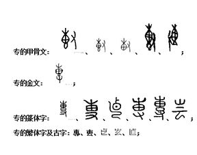 一、  潮 字的本义与文化底蕴内涵