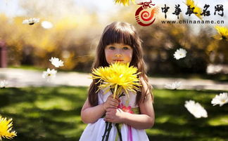 四、 实战演练：从零到一百种“烂”名字生成器