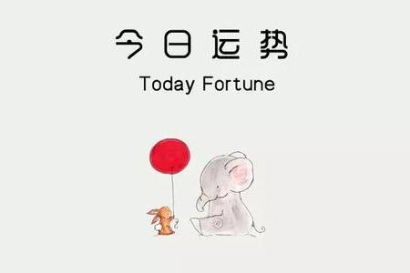 属猪五年运势和六年运势分别是什么？