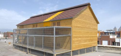 鸽舍选址与房屋朝向的相互作用