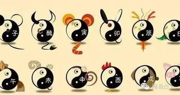 数字、 颜色与方位选择原则