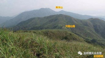 （一）避开树根上方的禁忌