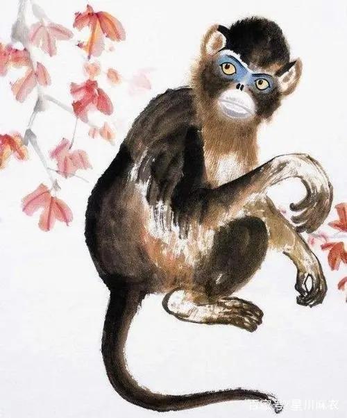 2026年蛇年对属猴人的健康有何具体影响？