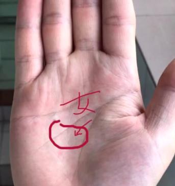 一、  手相学中的“财库”概念及其象征意义