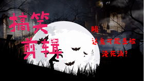 现象阐释：个体经验与社会周边环境语境