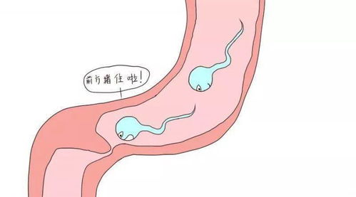 3. “其他麻烦生产者”——先天异常、 异位症等等