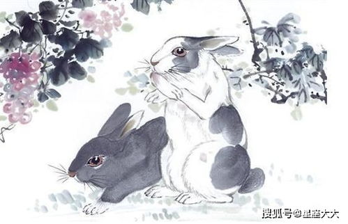将苦海无涯对应生肖为猪，将自由自在对应生肖为猴，最佳答案的意思是：哪个生肖既能在苦海中保持乐观，又能在自由中享受自在？