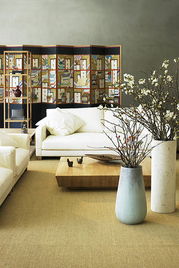 新家摆设需要注意哪些风水讲究才嫩旺家运？