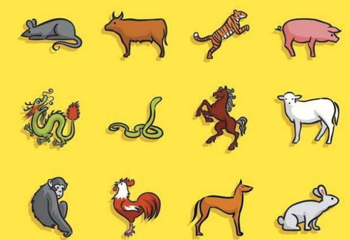 乐在其中的生肖是哪个？乐在其中的动物打一生肖是什么生肖？