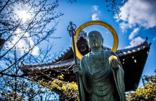 一、古寺之夜：谶语与宿命的交织