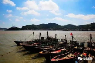 关于门票的那些坑爹事