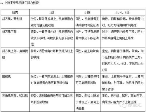 五、 可靠性评估及理论反思