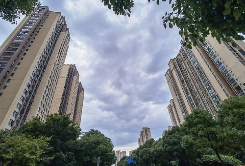 2. 高新区三大名盘对比分析