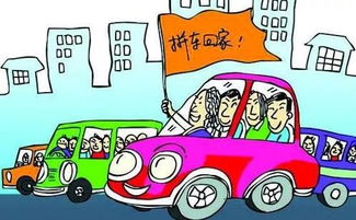 拼车/顺风车：一场豪赌