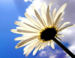 “雪糕刺客”现象与财富使用方式的反思