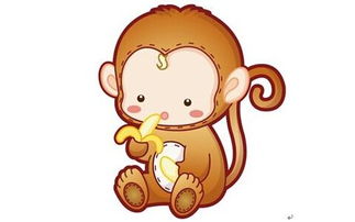 董易林十二生肖运势中，十二生肖今日运势具体指的是什么？