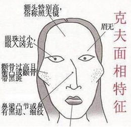 女命中财运贵人具体指的是哪些类型或特征的人？