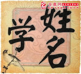 臻字在姓名中吉凶如何？能否分析一下带有臻字的姓名吉凶？