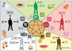 环境与方位的影响：顺应自然规律