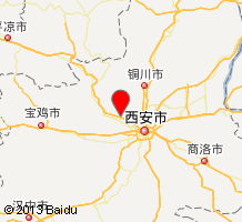 旅游专线的优势与挑战：便捷背后的隐忧