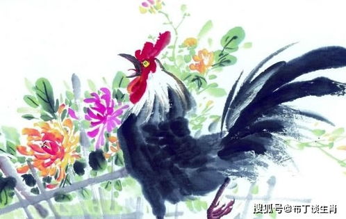 三、 属鸡者：独立自律、远见卓识且社交能力突出的典范