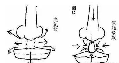 人中：深浅宽窄交织出的命运脉络图谱