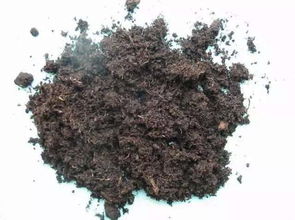 四、 堆肥与沤肥