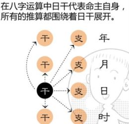 猪年出生的人八字缺土该如何通过风水布局和日常习惯进行有效补救？