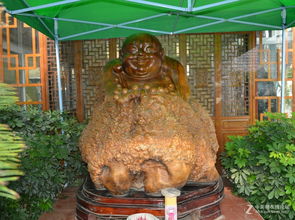 风水宝地？我看是泥巴窝！