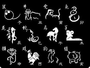 十二生肖7月一周运势和月份运势小知识分别指什么？