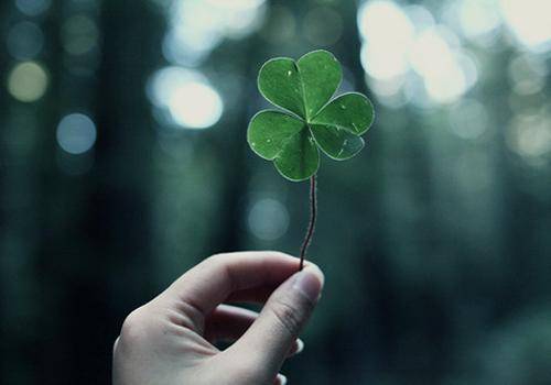 生肖元素的运用