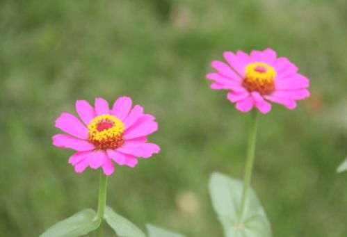 1.3 大运流年的动态考量
