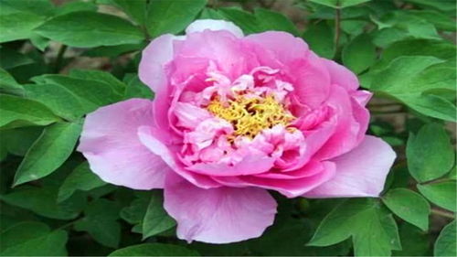 二、 卧室内部细节配置及其吉凶影响