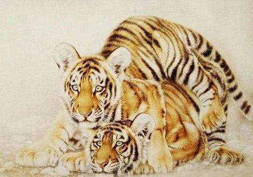 哪个生肖与苦命虎最匹配，能带来好运？